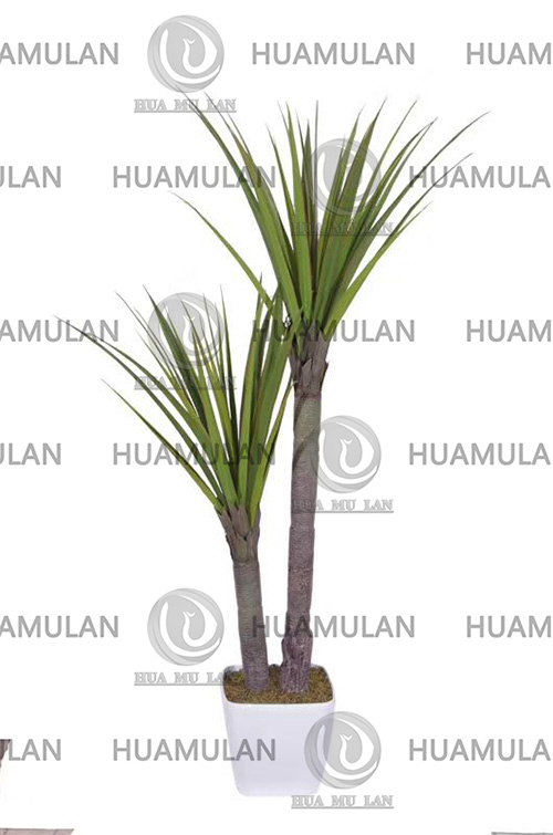 AGAVE-PLANT(160CM)