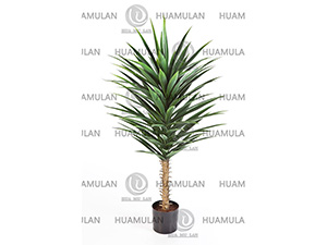 AGAVE-PLANT(110CM)