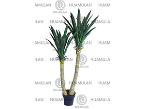 AGAVE-PLANT(135CM)