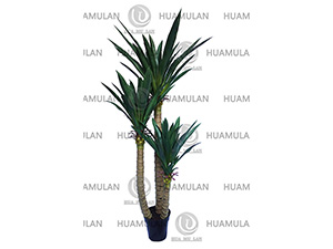 AGAVE-PLANT(190CM)