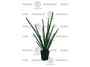 EVERGREEN-GRASS(80CM)