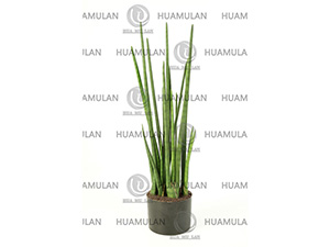 EVERGREEN-GRASS(90CM)