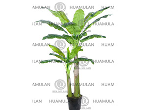 688201-BANANA-(2-250CM)