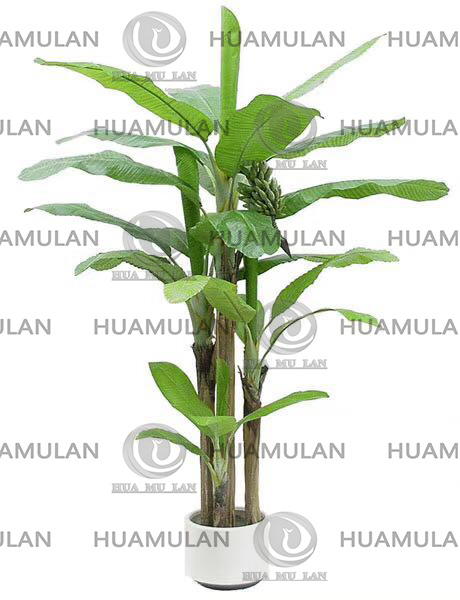 688204-BANANA-TREE(32-250CM)