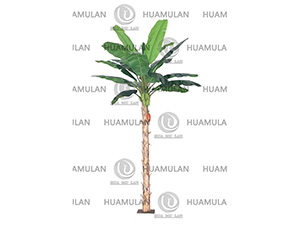 688301-BANANA-TREE(9-250CM)