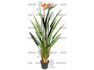 688401-BANANA-TREE(160CM)