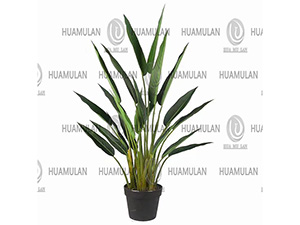 688402-TRAVELLE'S-TREE(3-160CM)