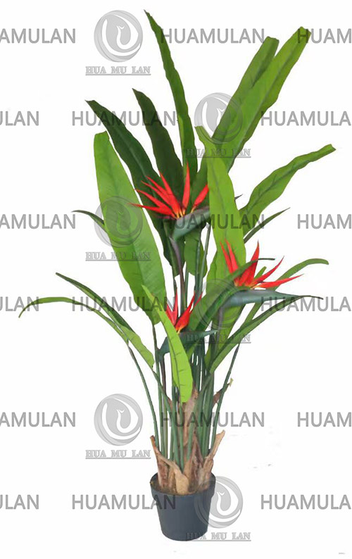 688403-ÌìÌÃÄñ-(170CM)