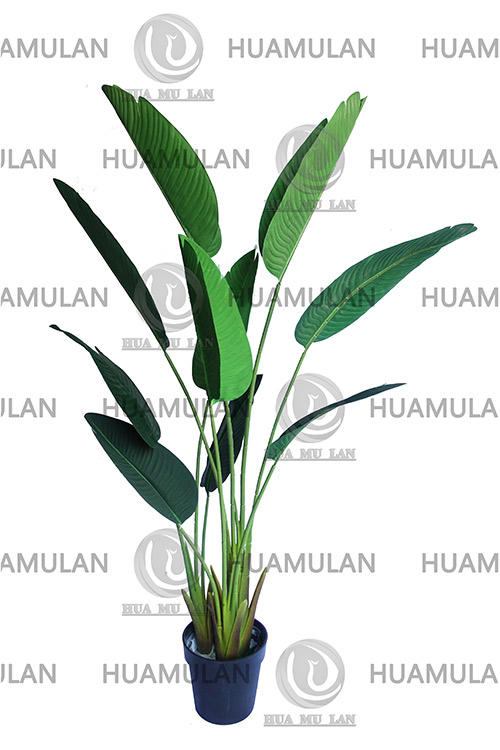 688502-TRAVELLE'S-TREE(10-160CM)