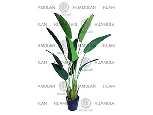 688502-TRAVELLE'S-TREE(10-160CM)