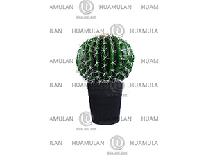 638202-CACTUS(1-38CM)