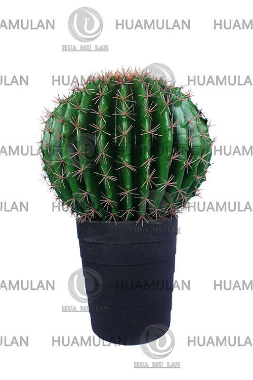 638203-CACTUS(1-52CM)