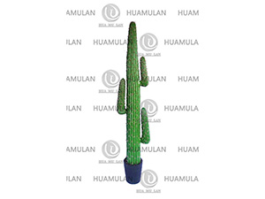 CACTUS(3-178CM)
