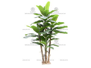 BANANA TREE(65-350CM)