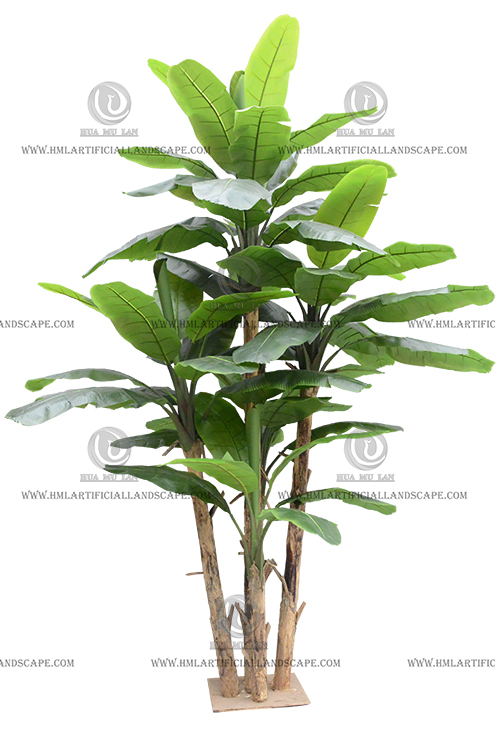 BANANA TREE(65-350CM)