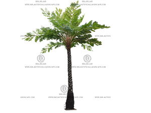 FERN TREE