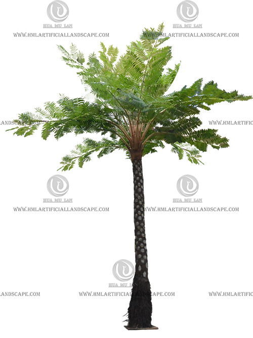 FERN TREE