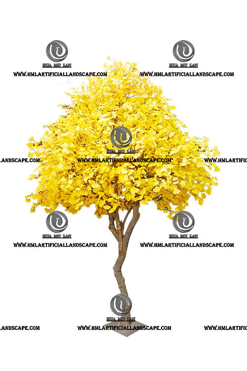 GINGKO TREE