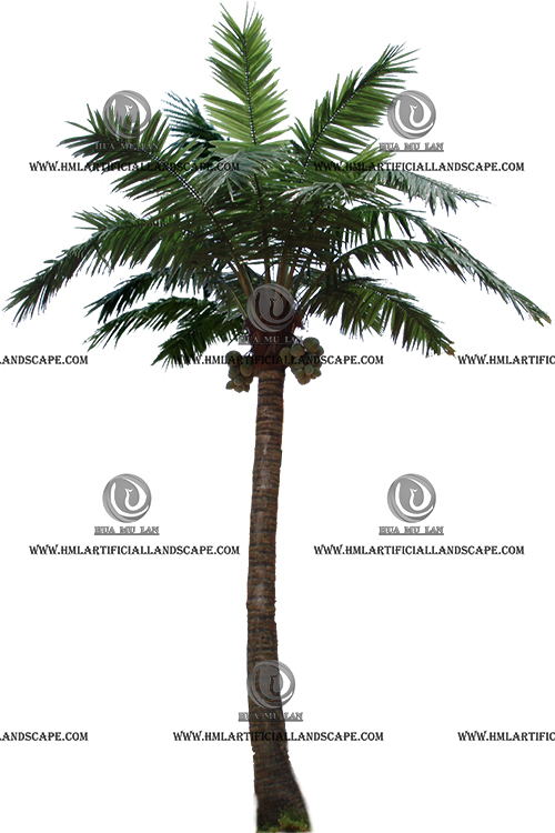 HAWAII COCONUT TREE(7M)
