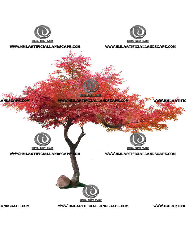 MAPLE TREE