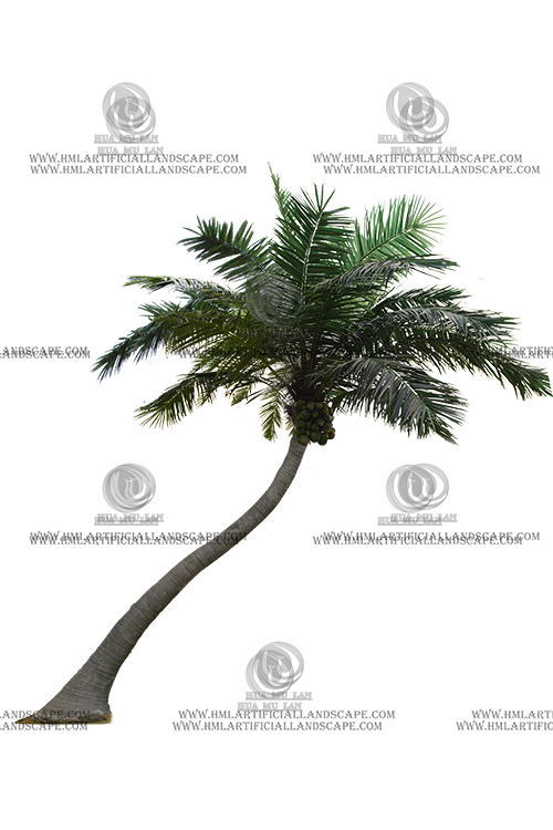 HAWAII COCONUT TREE(6M)