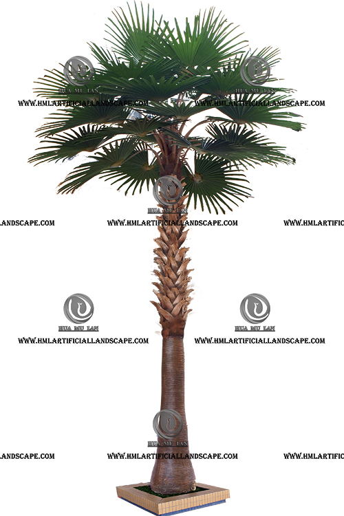 WASHINGTON'S FAN PALM TREE(8M)