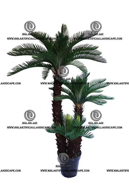 SEGO PALM 