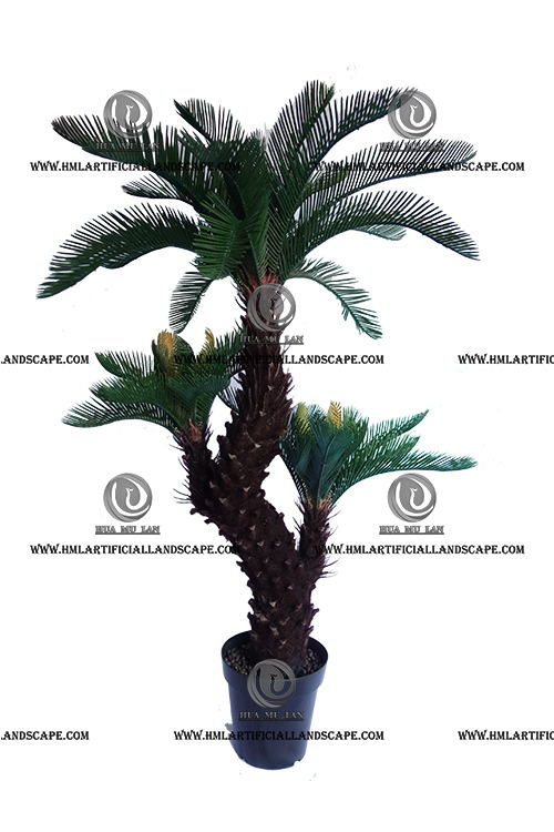SEGO PALM 