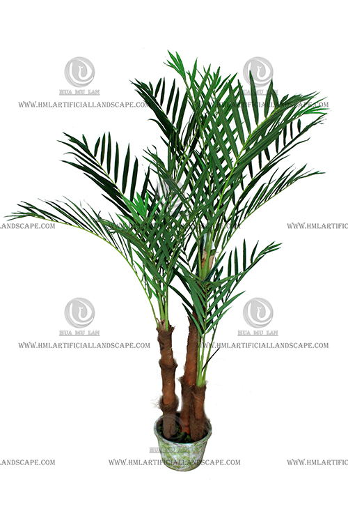 ARECA PALM