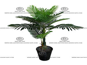 ARECA PALM