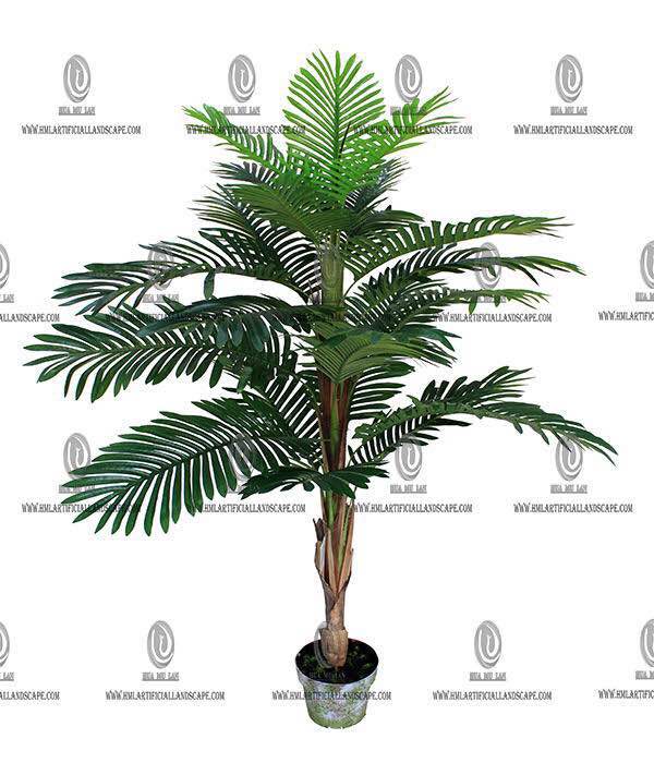 ARECA PALM