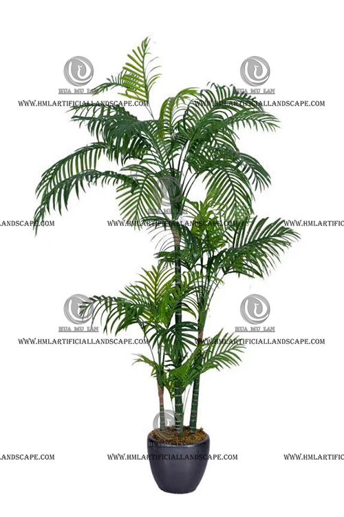 ARECA PALM