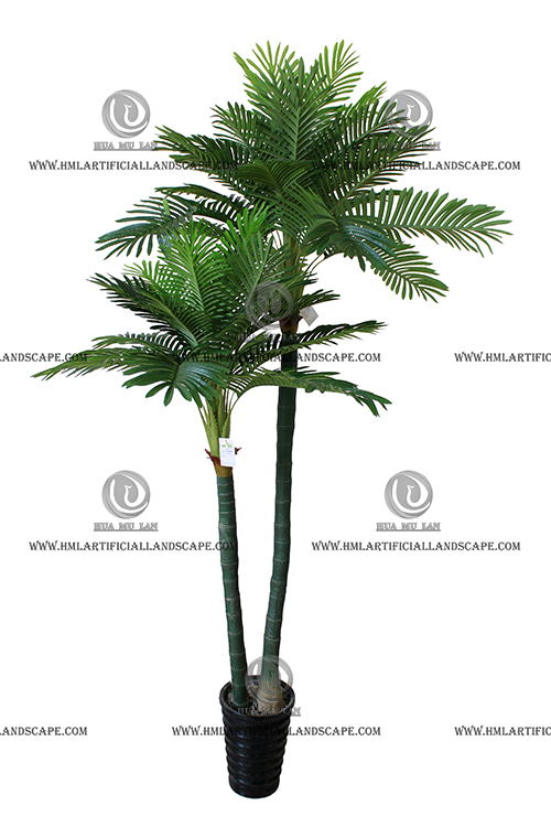ARECA PALM