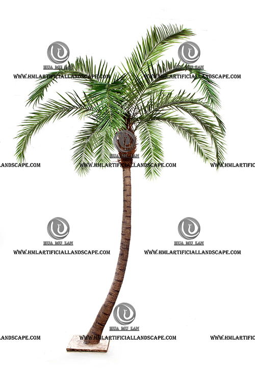 PHOENIX PALM