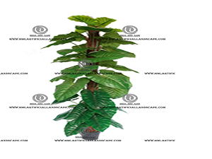 POTHOS ON POLE