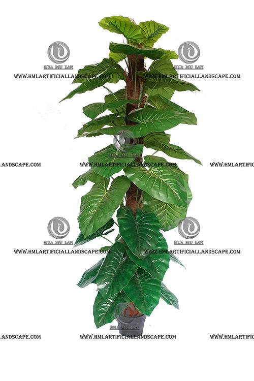 POTHOS ON POLE