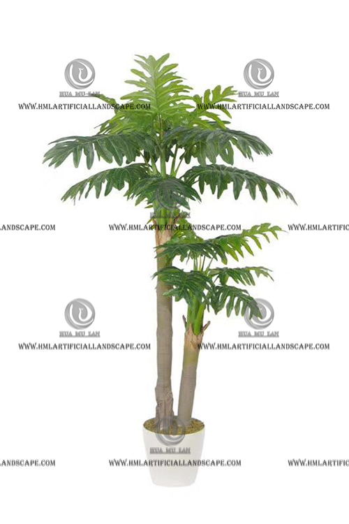 SPLIT PHILO PLANT