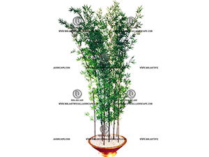 Bamboo
