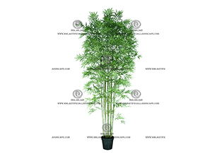 BAMBOO TREE