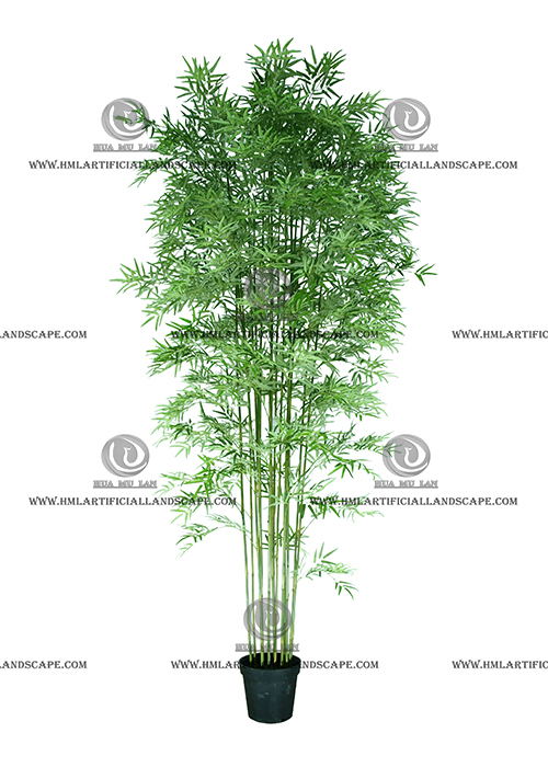 BAMBOO TREE