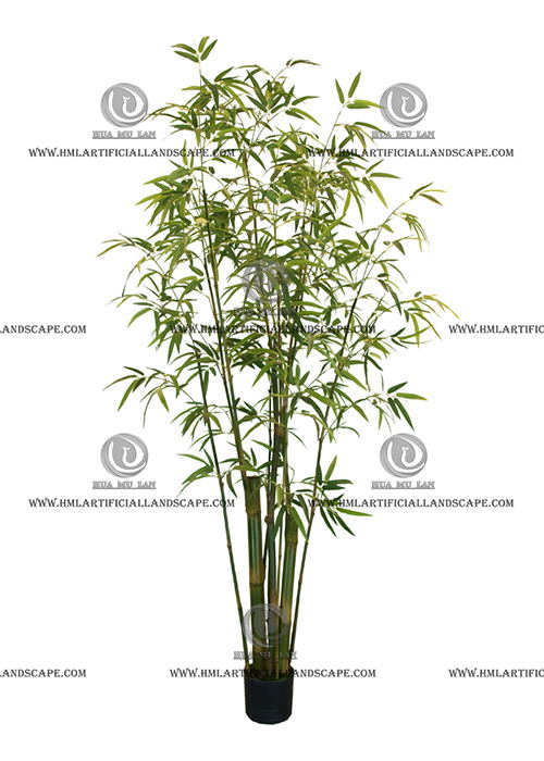 BAMBOO TREE