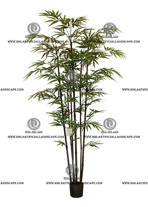 BAMBOO TREE