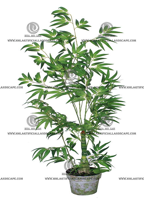 BAMBOO TREE