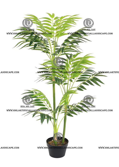 BAMBOO PALM TREE
