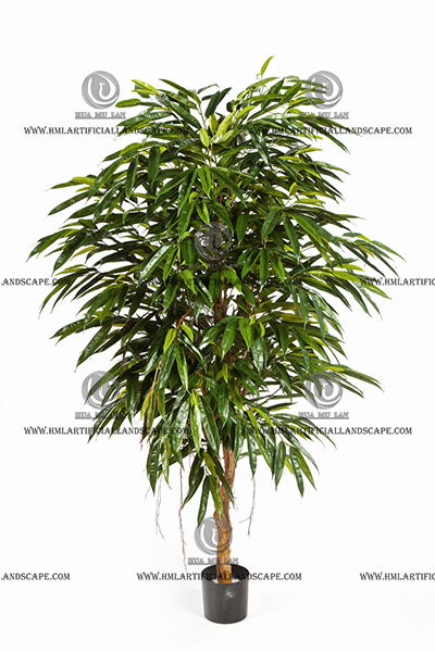 BAMBOO TREE