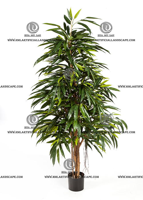 BAMBOO TREE