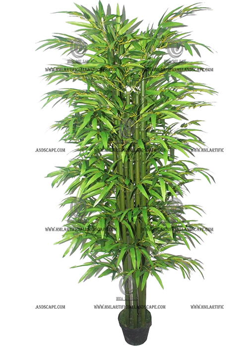 BAMBOO TREE