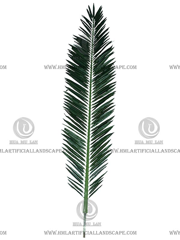 CANARY DATE PALM FROND