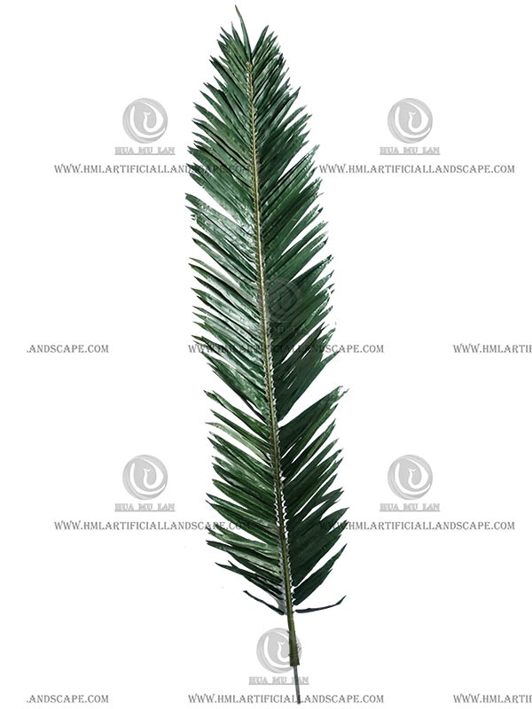 CANARY DATE PALM FROND