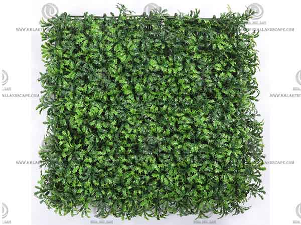 GRASS